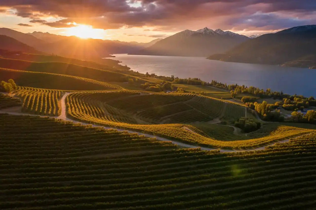 Okanagan Cider: Why This Valley Makes the Best Cider in Canada - Hardcore Cider Co.