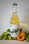 Unhazy Hopped - Dry-Hopped Cider - Hardcore Cider Co.